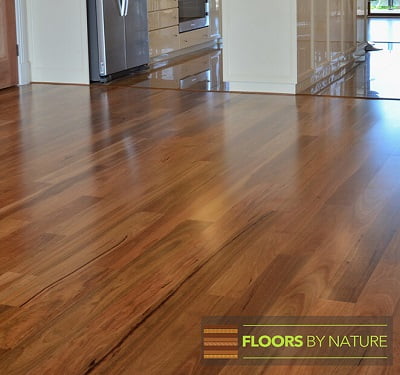Spotted Gum engineered timber flooring