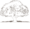 Floors By Nature