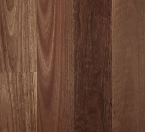 Smooth Semi-Gloss Spotted Gum Engineered Timber Flooring