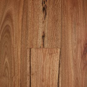 spotted gum rustic with matte finish in Perth by Floors By Nature